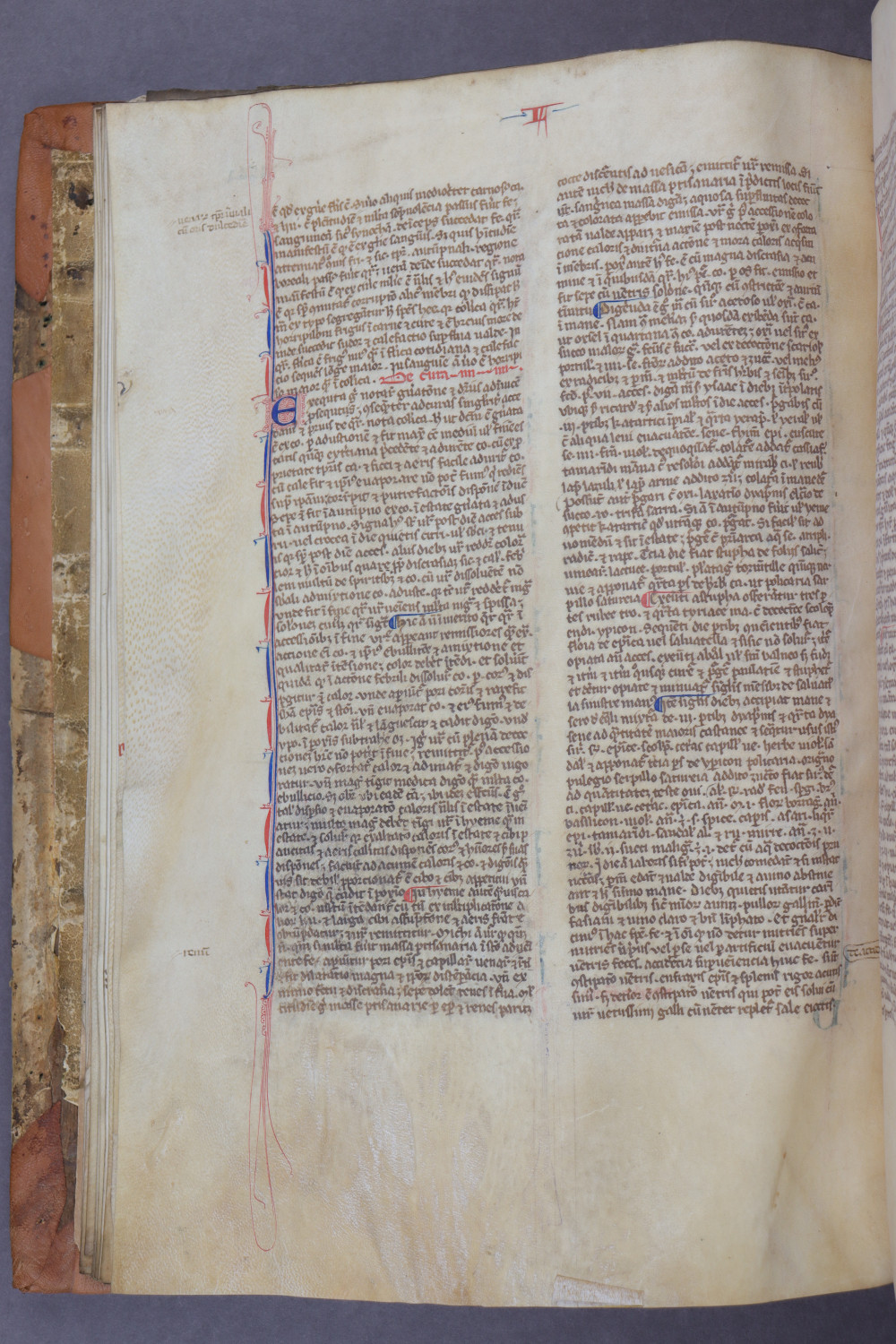 Folio 20 verso